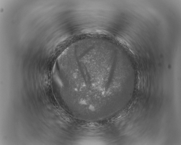 X0000088400966200706121231