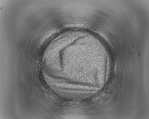 X0000088400967200706121231