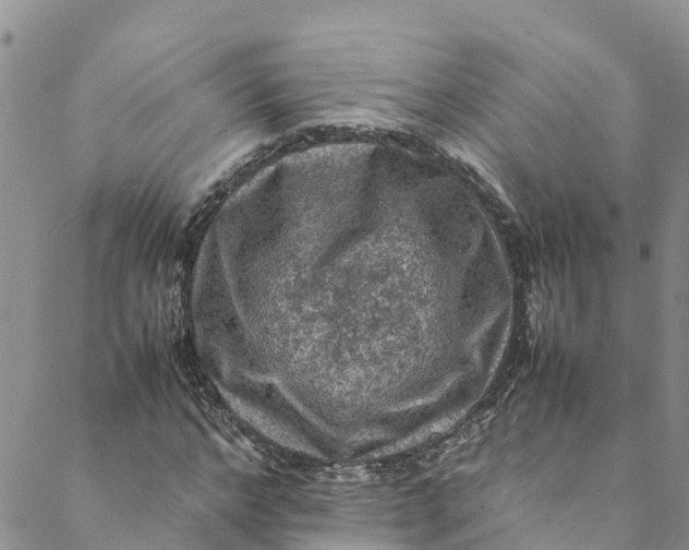 X0000088400968200706121231