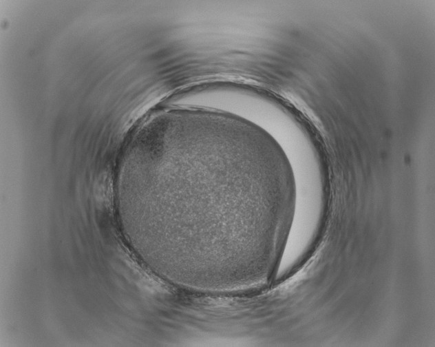 X0000088400969200706121231