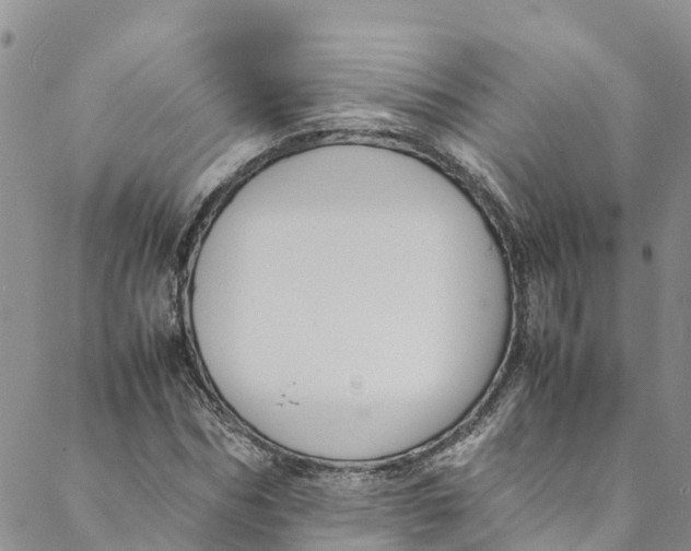 X0000088400970200706121231