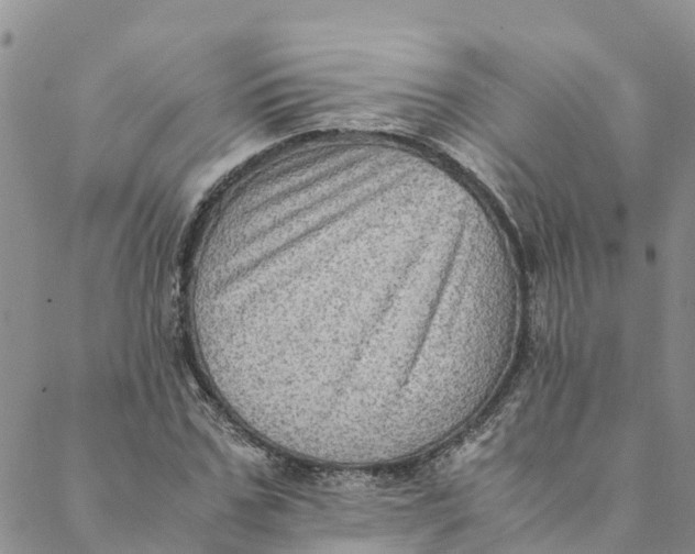 X0000088400971200706121231