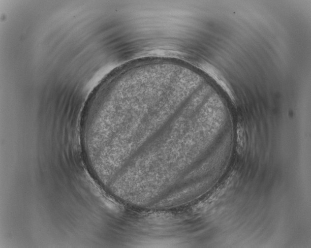 X0000088400972200706121231