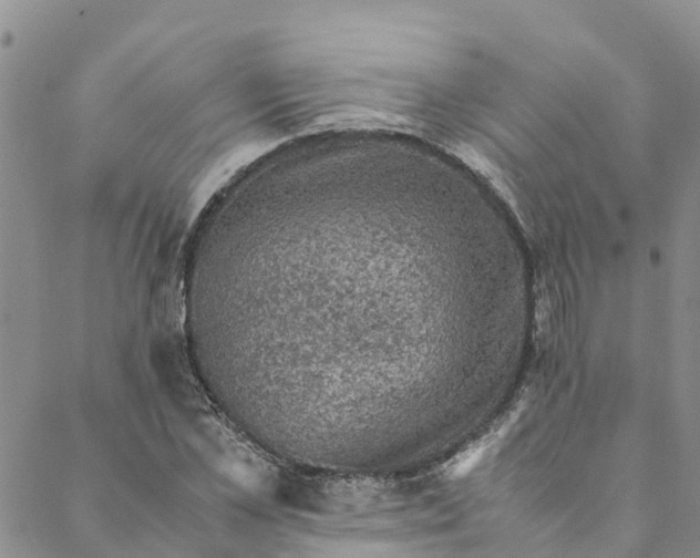 X0000088400973200706121231