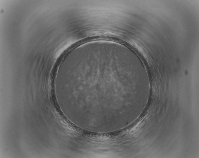 X0000088400975200706121231