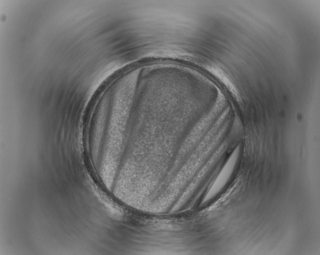 X0000088400976200706121231