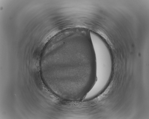 X0000088400977200706121231