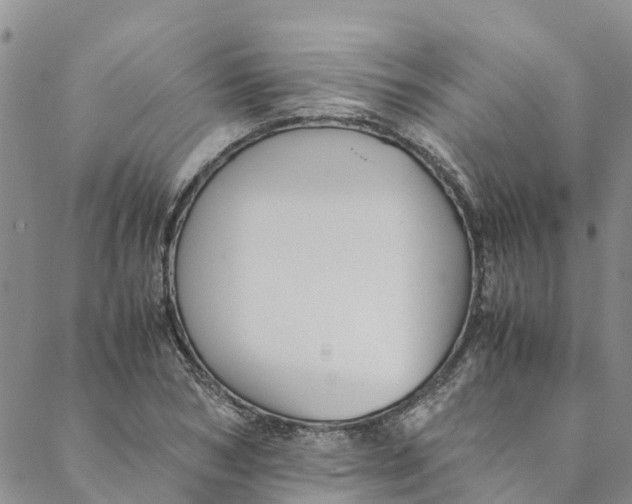 X0000088400978200706121231