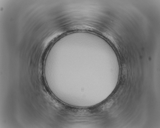 X0000088400979200706121231