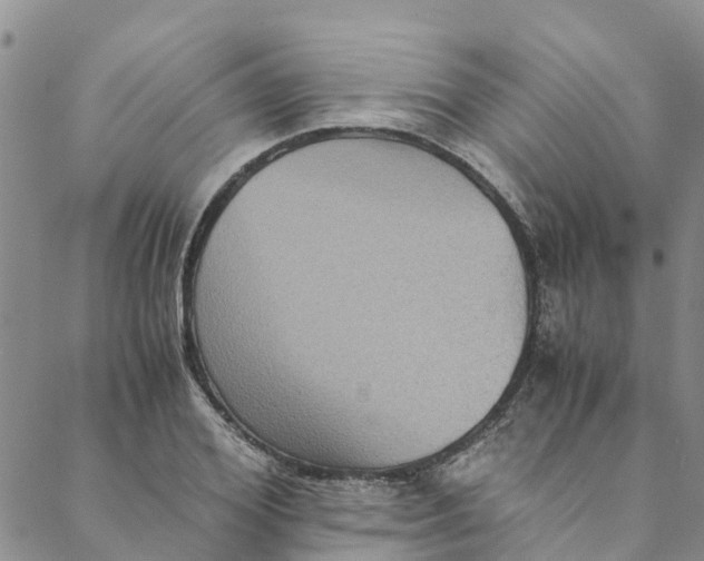 X0000088400980200706121231