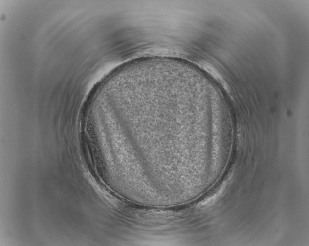 X0000088400981200706121231