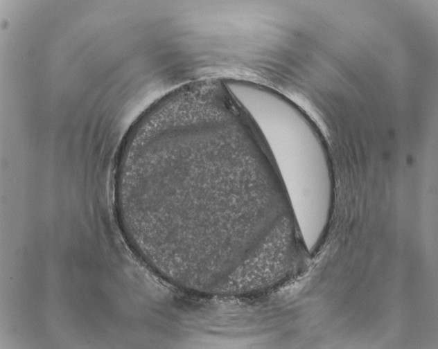 X0000088400983200706121230