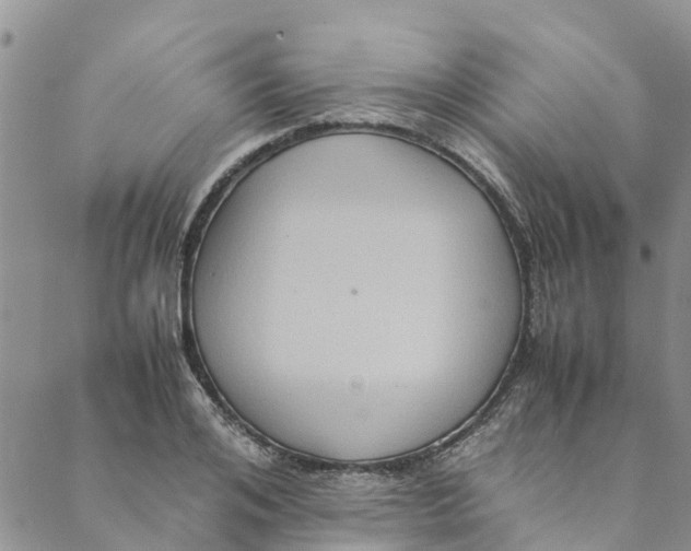 X0000088400984200706121230