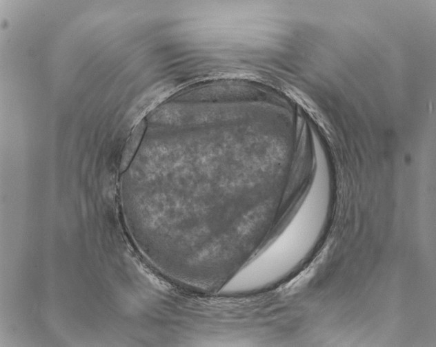 X0000088400985200706121230