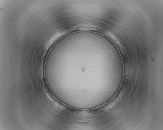 X0000088400986200706121230