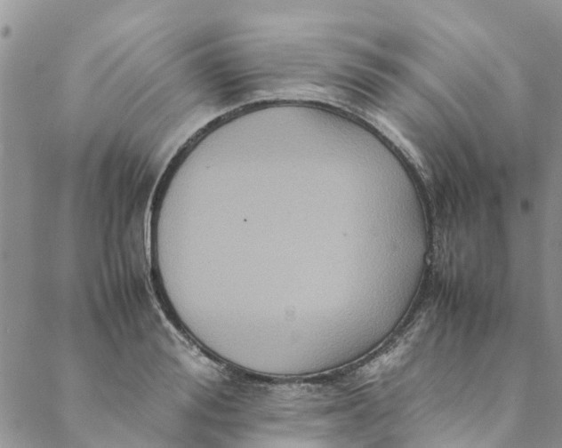 X0000088400988200706121230