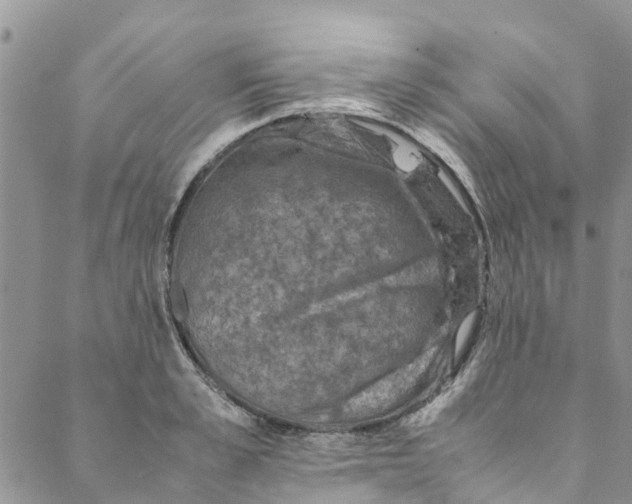 X0000088400989200706121230