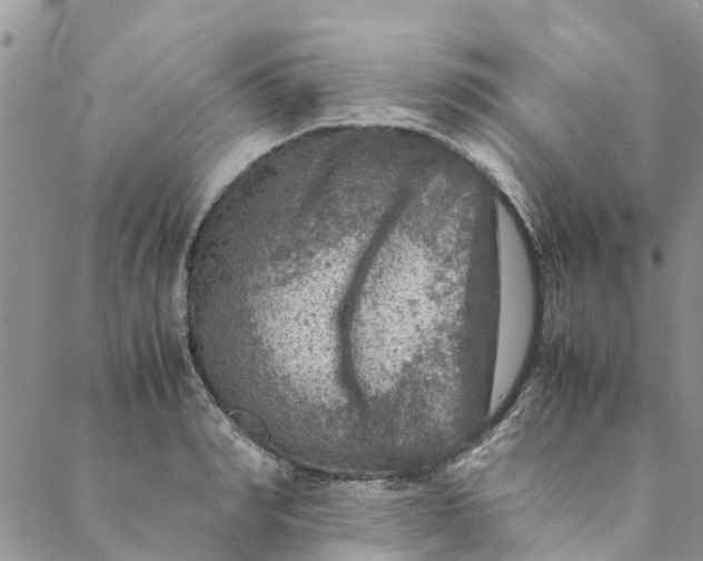 X0000088400990200706121230