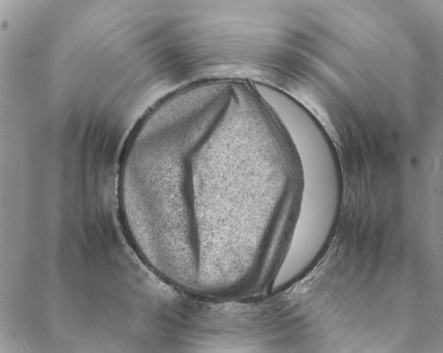 X0000088400992200706121230