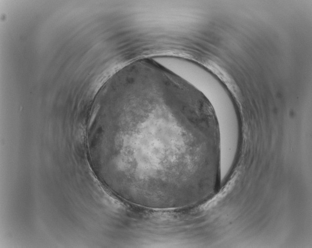 X0000088400993200706121230