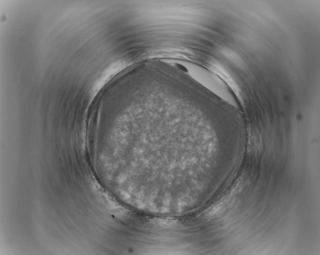 X0000088400994200706121230