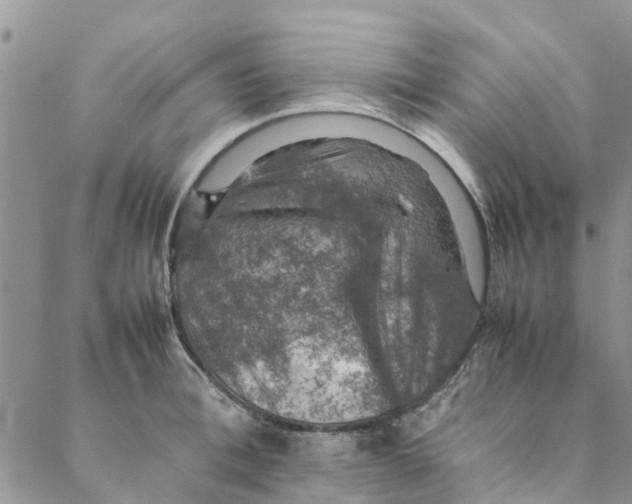 X0000088400996200706121230