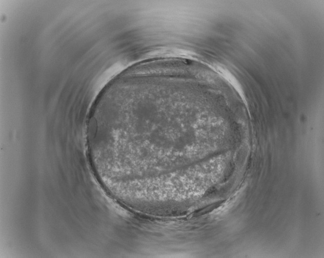 X0000088400997200706121230