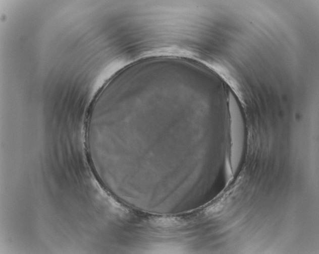 X0000088400998200706121230