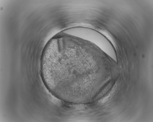 X0000088400999200706121230