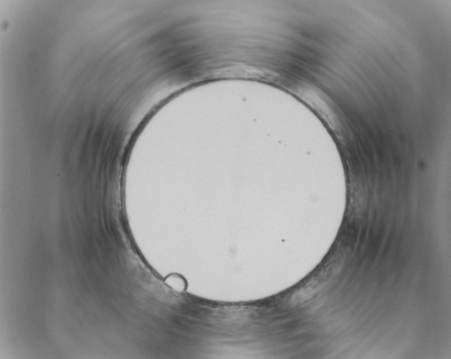 X0000088401000200706121230