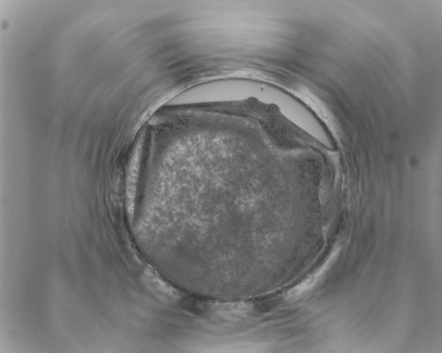 X0000088401001200706121230