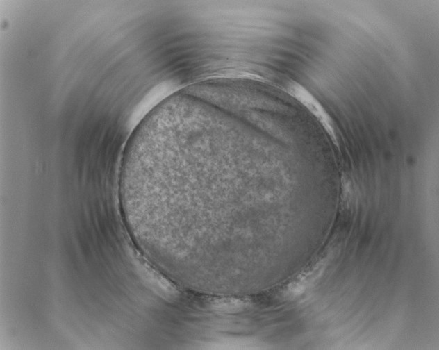 X0000088401002200706121230