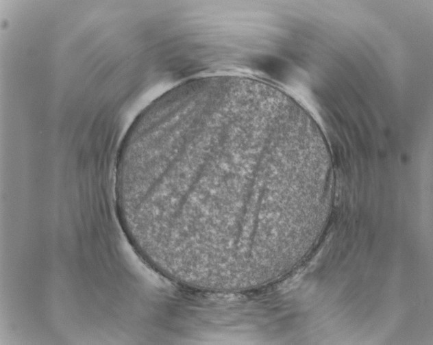 X0000088401003200706121230