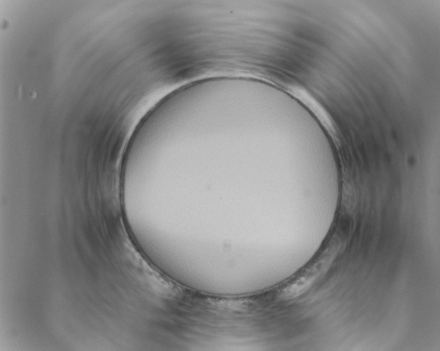 X0000088401004200706121230