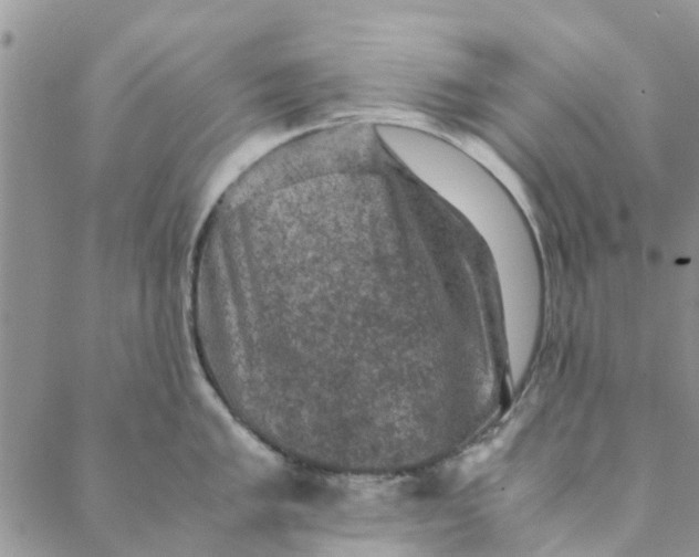 X0000088401005200706121230