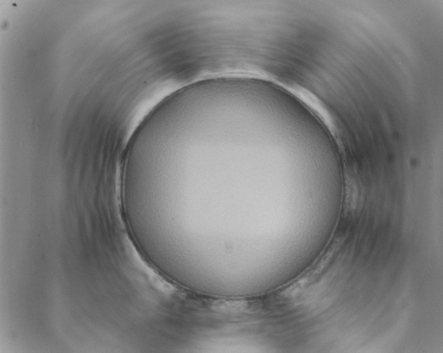 X0000088401006200706121230