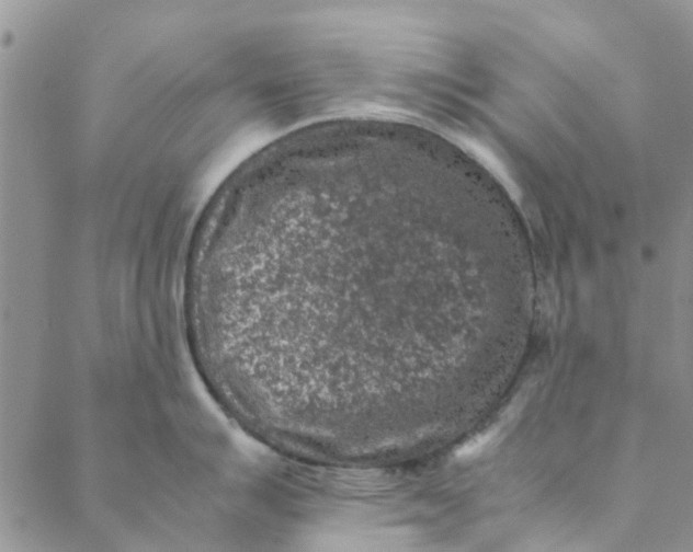 X0000088401007200706121230