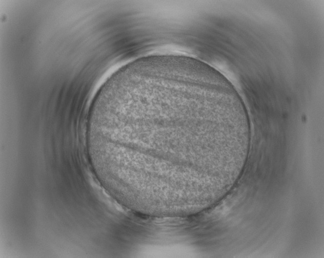 X0000088401008200706121230