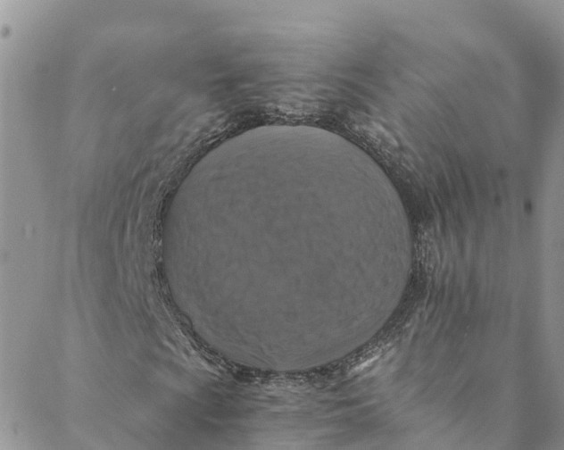 X0000088401009200706121229