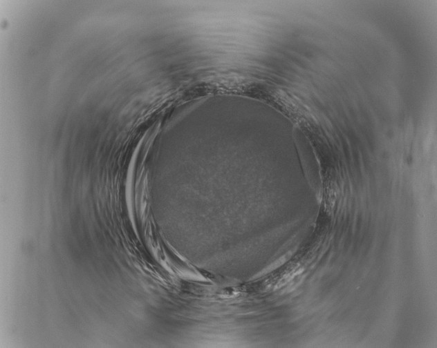 X0000088401010200706121229