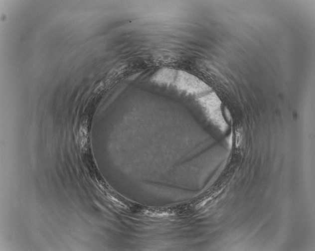 X0000088401011200706121229