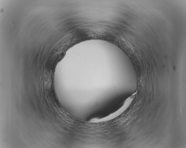 X0000088401012200706121229