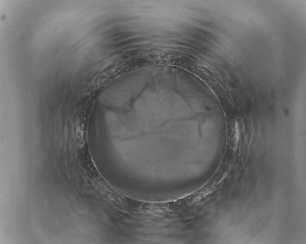 X0000088401013200706121229