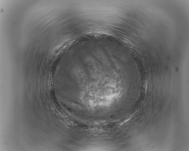 X0000088401014200706121229