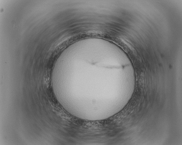 X0000088401015200706121229