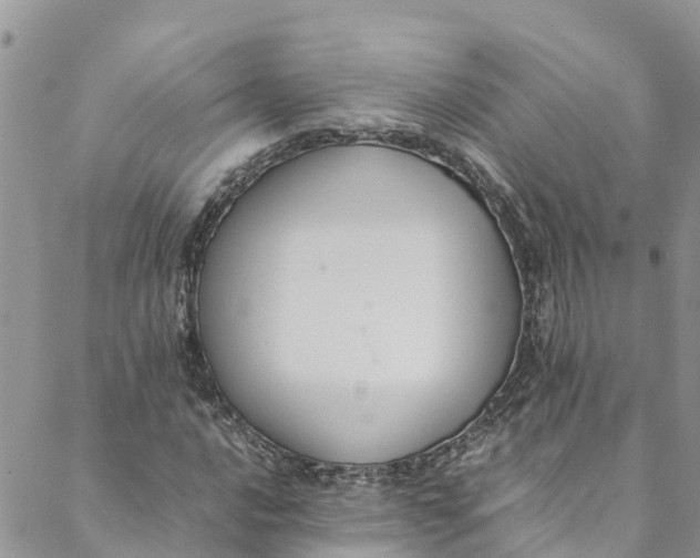 X0000088401016200706121229