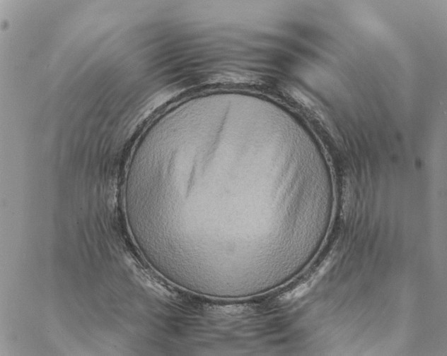 X0000088401017200706121229