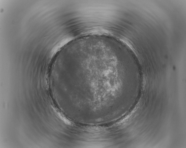 X0000088401018200706121229