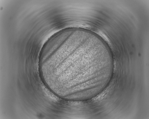 X0000088401020200706121229