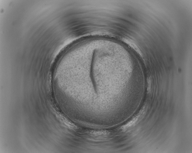 X0000088401021200706121229